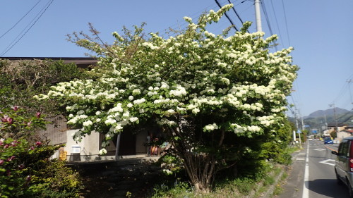 a0338094_23155277.jpg
