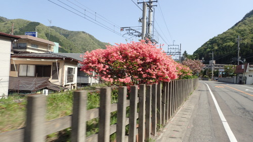 a0338094_23161195.jpg