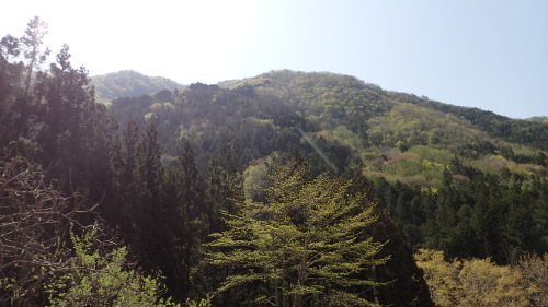 a0338094_23260172.jpg