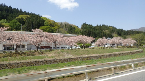 a0338094_23281541.jpg