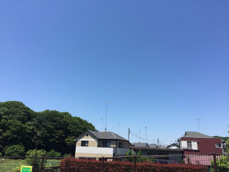 d0135694_132978.jpg
