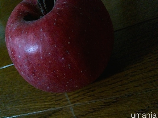 b0061004_15143585.jpg