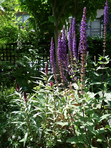 e0234004_21573054.jpg