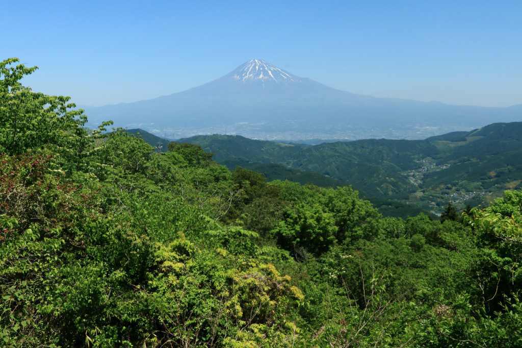 a0188405_00024143.jpg