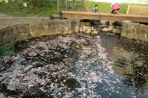 a0337807_15530279.jpg
