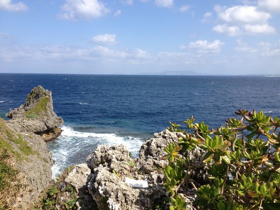 f0221708_17393338.jpg