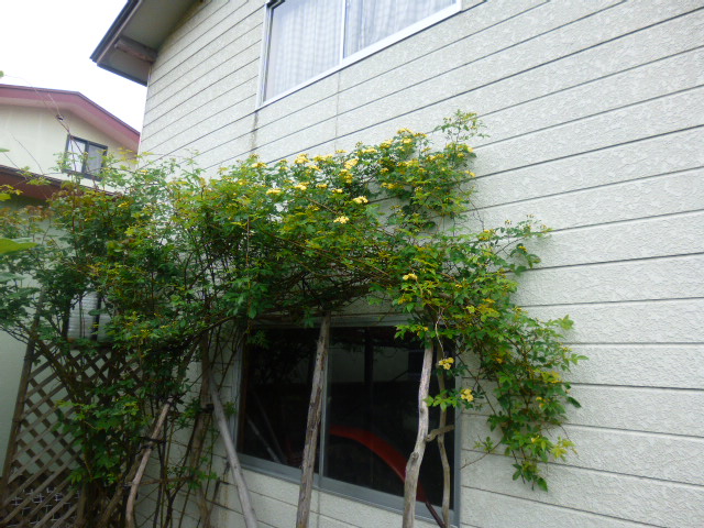 b0035611_20553250.jpg