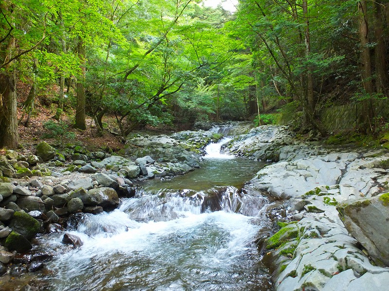 f0182513_21183226.jpg