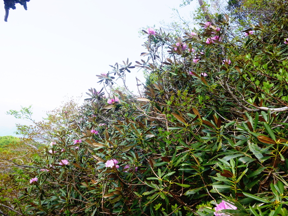 d0170615_17482232.jpg