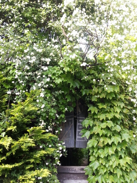 c0049825_91055100.jpg