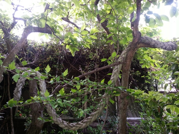 c0049825_912323.jpg