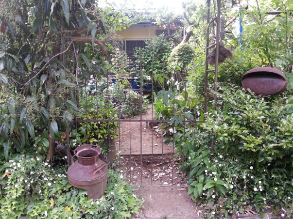 c0049825_9124090.jpg