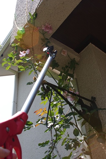 e0021328_1732595.jpg