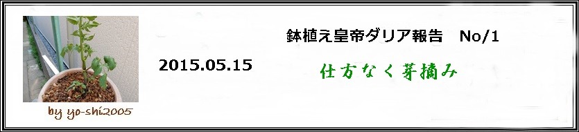 e0033229_2025291.jpg