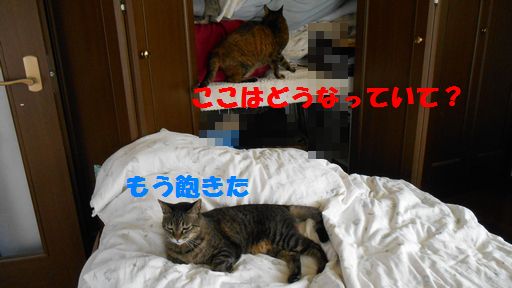 e0142430_12283651.jpg