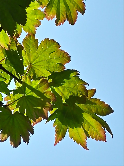 b0027736_12495668.jpg