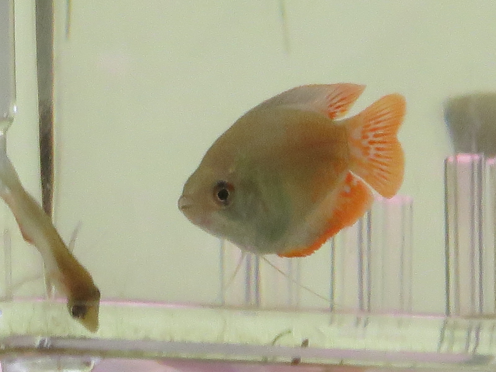 a0168837_1485836.jpg