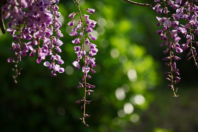 a0242438_21282658.jpg