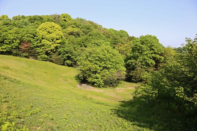 a0242438_21291648.jpg