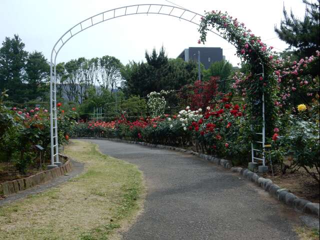 e0043548_21261564.jpg