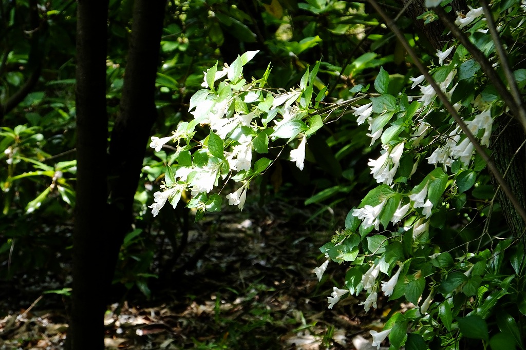b0236251_11542255.jpg