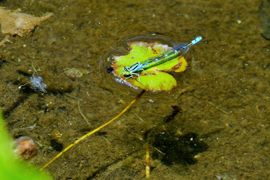 b0236251_11565566.jpg