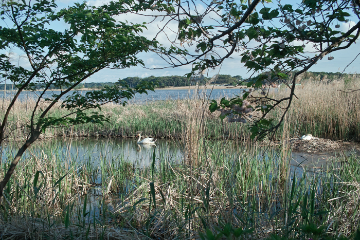 f0206356_13214680.jpg