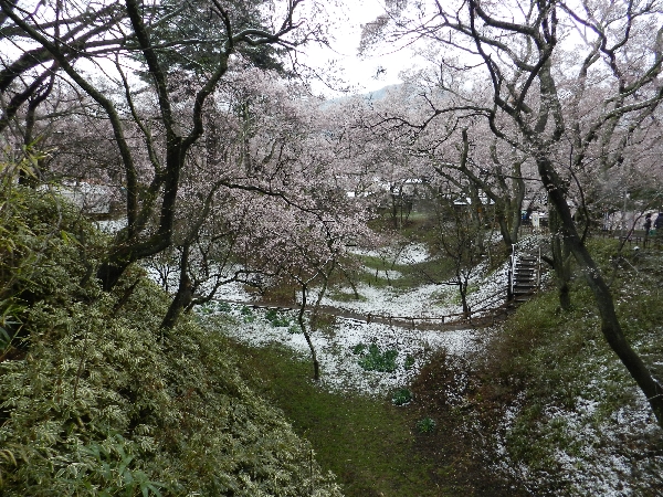 e0020957_12265477.jpg
