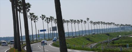 e0044657_21451444.jpg
