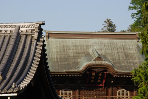 e0045768_224240100.jpg