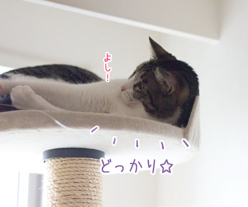 a0119470_19361018.jpg