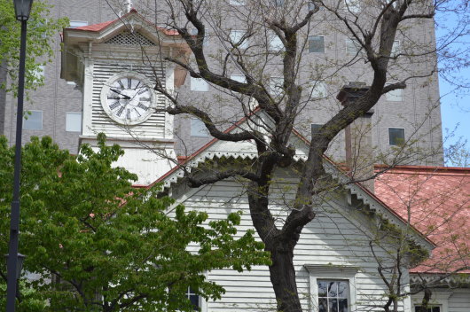 f0312278_21241745.jpg