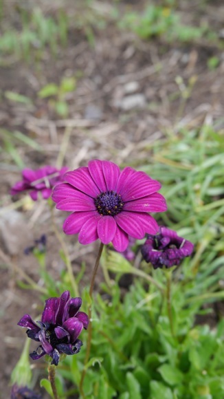 a0278382_04291817.jpg