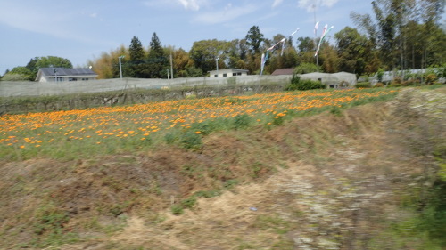 a0338094_00070973.jpg