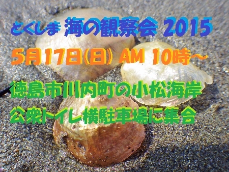 a0125598_23522605.jpg
