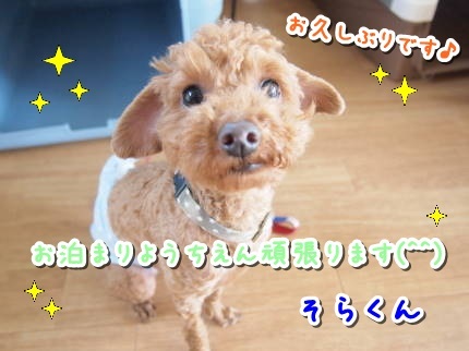 a0338800_23252212.jpg