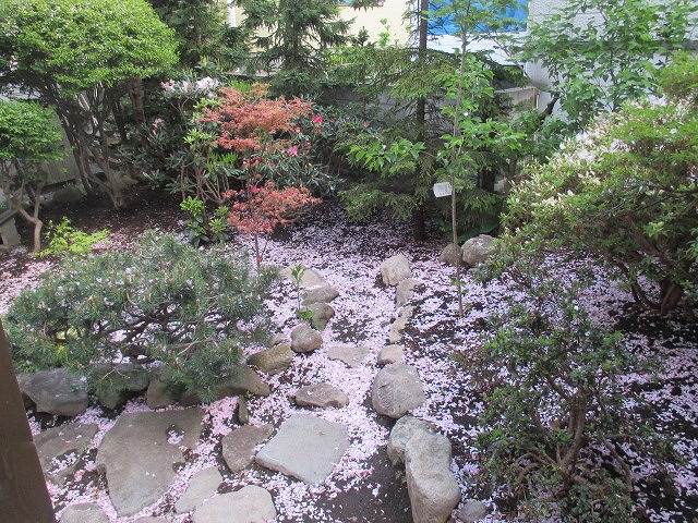 f0202703_062927.jpg