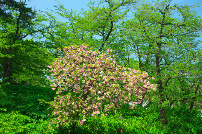 a0263109_2212052.jpg