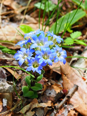 b0279109_113717100.jpg