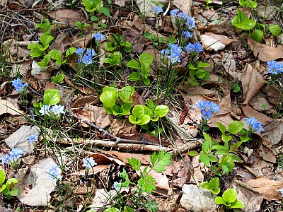 b0279109_11373227.jpg