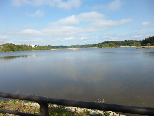 b0035611_193996.jpg