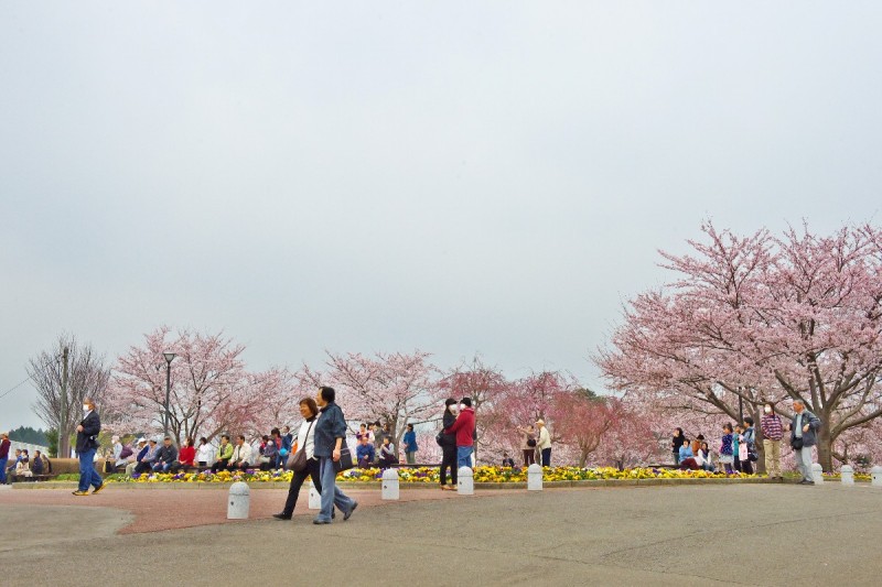 c0158519_11101292.jpg