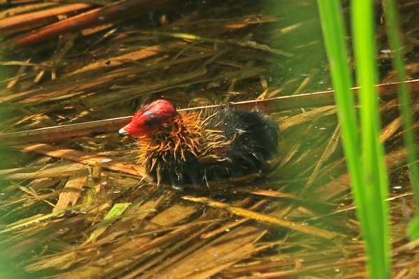 c0104227_1925781.jpg