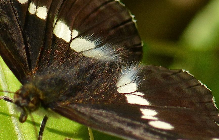 d0303129_3254585.jpg