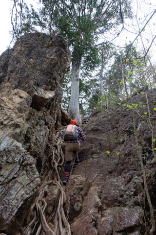 b0281732_5303571.jpg