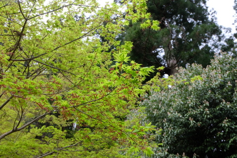 b0281732_5325261.jpg