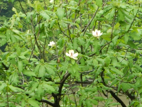 f0118332_21575635.jpg