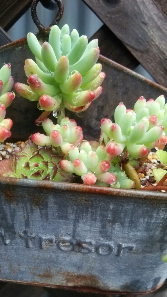 c0335540_09561698.jpg