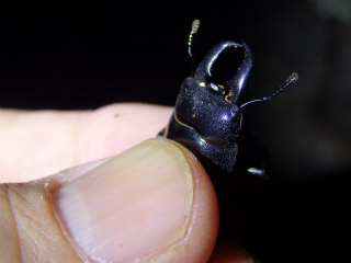 f0104042_821927.jpg