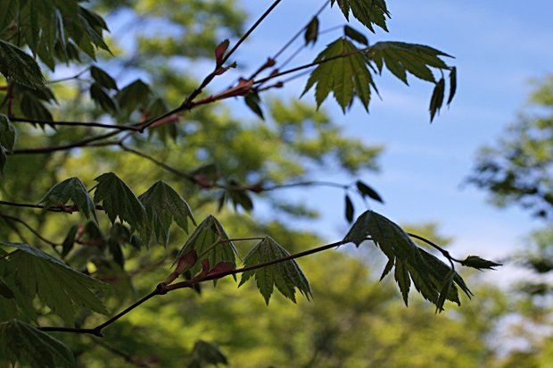 f0214649_15571237.jpg